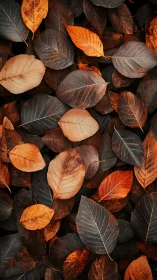 Textured autumn foliage pattern with warm tonal layering.