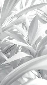 Monochrome close-up of layered tropical leaves pattern.