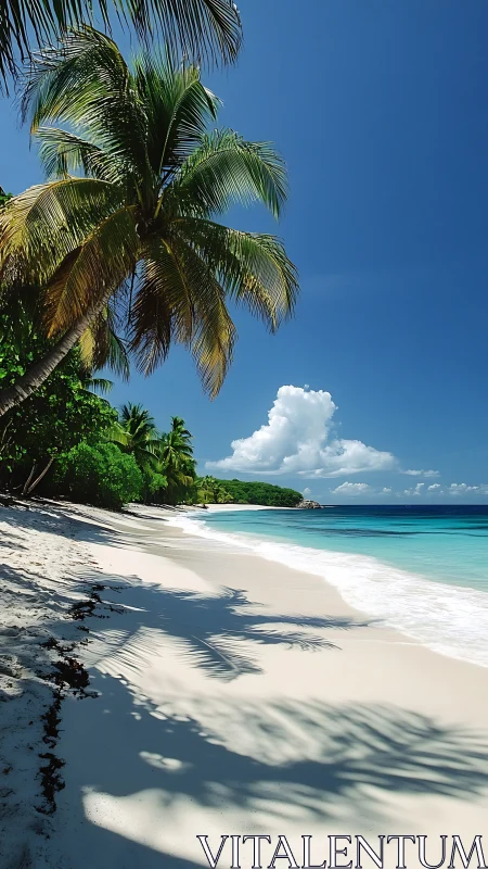 Tropical Beach Landscape with Coconut Palm and Turquoise Water.