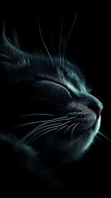 Dark Feline Profile: Black Cat with Luminous Whiskers.