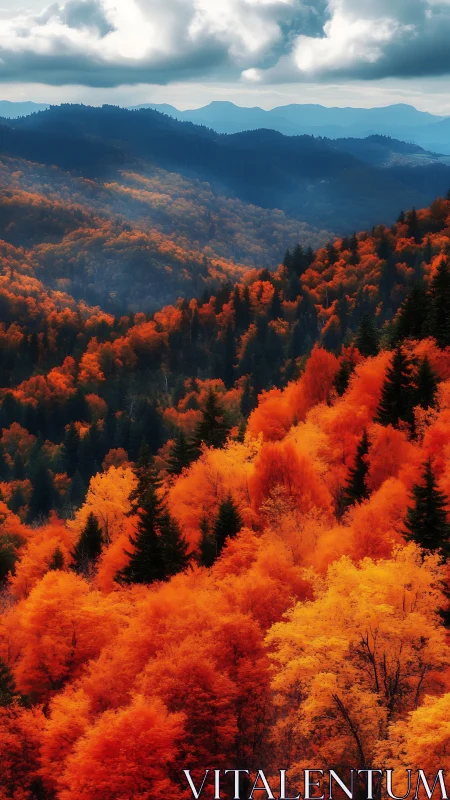 Autumn mountain forest glows with dense crimson foliage.
