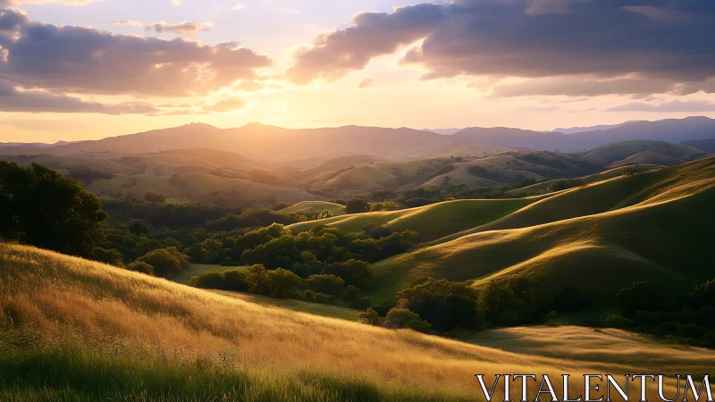 Golden sunset light sculpts rolling green valley hills.