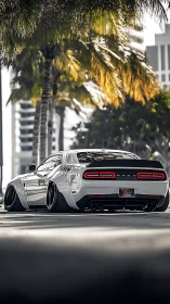 Widebody sports car rests low under bright palm trees