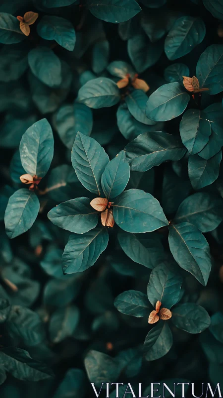 Teal foliage frames warm golden buds in soft focus calm.