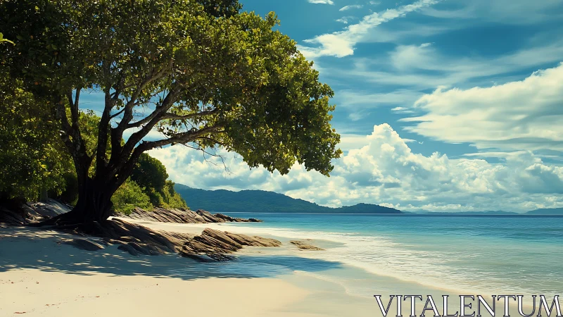 Tropical beach with gnarled tree, mountains, and calm turquoise waters.