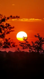 Golden sun drifts low in a fiery sky above quiet treetops