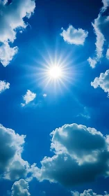 Skyward chorus lets the midday sun burst into radiant song