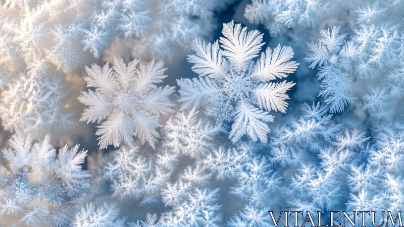 Macro view shows detailed crystalline snowflakes on frosted surface