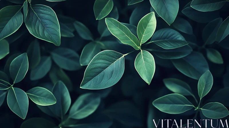 Lush green leaves glow softly against a dark, moody background.