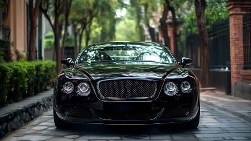 Front-facing black luxury grand tourer on tree-lined street