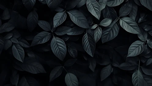 Nocturne leaves in velvet shadowed garden hush.