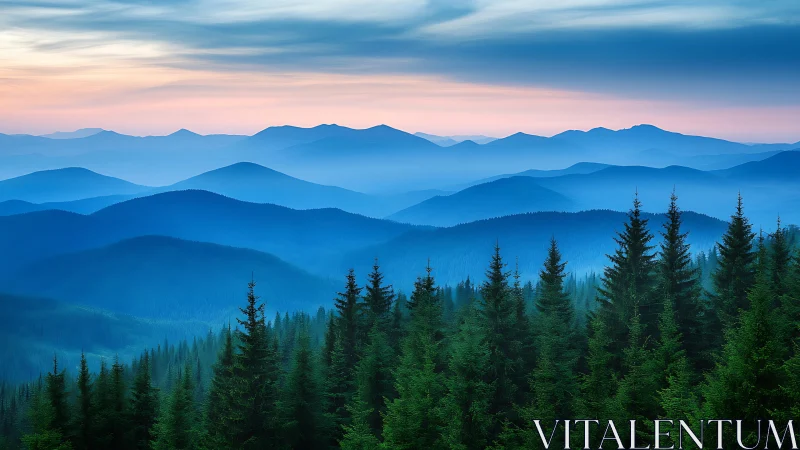 Gentle blue mountains welcome a quiet sunrise above pines