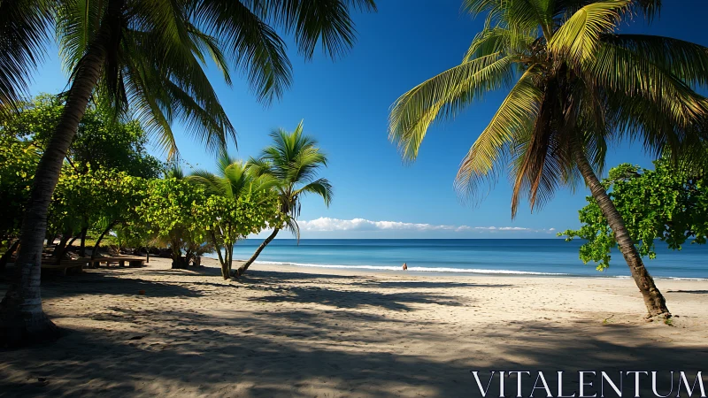 Where Palms Whisper Secrets to Sapphire Waves.