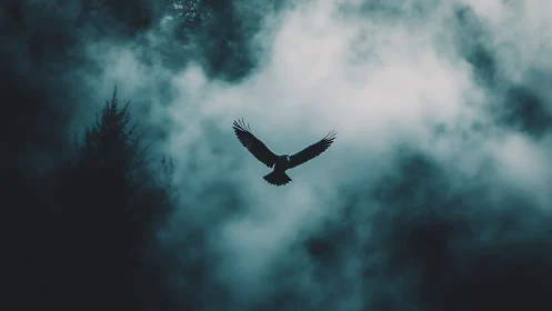 Solitary dark bird in moody teal fog above forest canopy.