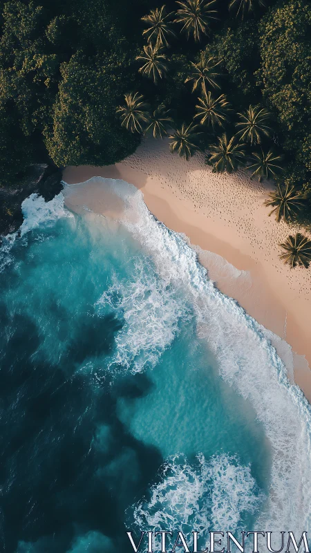 Aerial View of Tropical Beach with Palms and Ocean Waves