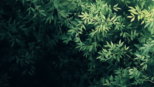 Dense layered foliage with varied green leaf clusters observed.