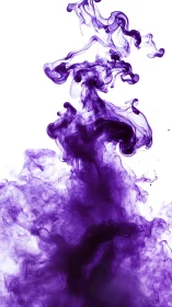 Vibrant violet ink plumes swirling through clear water.