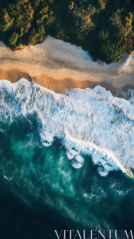 Aerial shoreline view with waves, sandy beach and foliage.