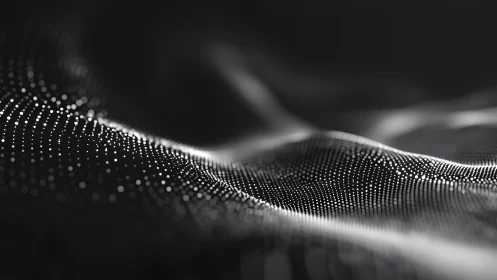 Abstract black and white wave landscape with glowing digital dots.