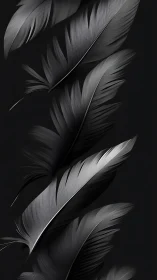 Sleek monochrome feathers drift in elegant dark minimalism
