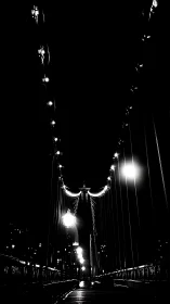 Suspension bridge nightscape with stark streetlight glow.