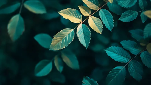 Close-up foliage with contrasting teal and yellow leaves.