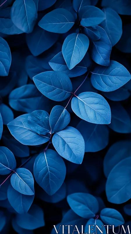 Monochrome indigo foliage study with layered leaf planes.