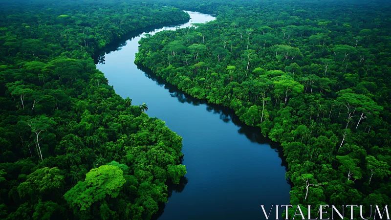 Dense tropical rainforest canopy with winding dark river.