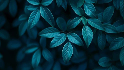 Nocturnal cyan foliage rendered in high-contrast macro focus