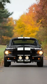 Classic black muscle car framed by vibrant autumn foliage on road