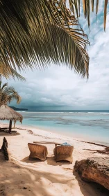 Tropical beach serenity beneath swaying palm fronds and endless ocean views.