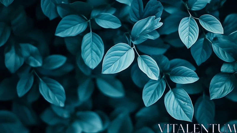 Monochrome teal foliage with soft-focus depth of field study.