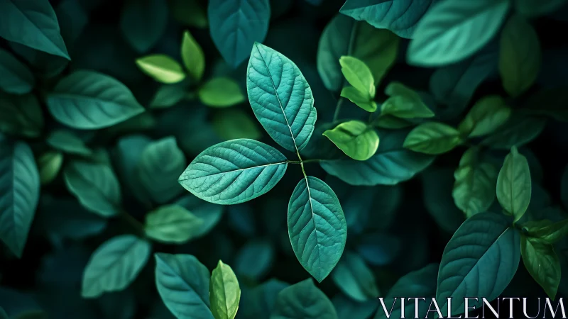 Lush emerald leaves invite a calm moment of quiet focus