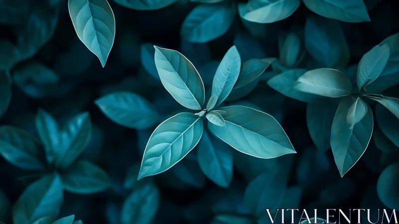 Central cyan foliage rendered with shallow depth of field