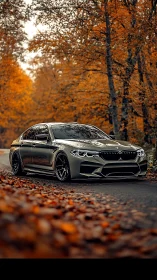 Sleek silver sedan glides through a quiet golden autumn road
