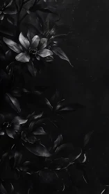 Black and White Flowers in Dramatic Monochrome Light.