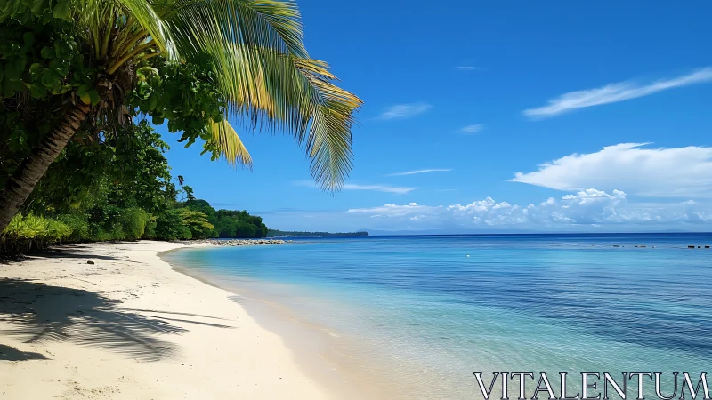 Tropical Beach with Palm Trees and Clear Blue Waters