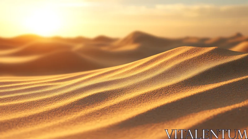 Low-angle desert sand ripples under warm sunset backlight