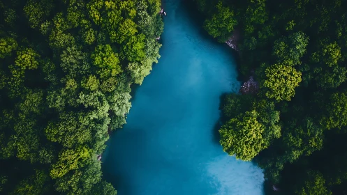 Turquoise River Cutting Through Dense Forest Canopy