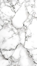 Marble whispers in white and inked veins of quiet luxury.