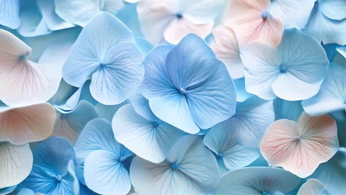 Macro study of pastel hydrangea petals with soft depth gradients