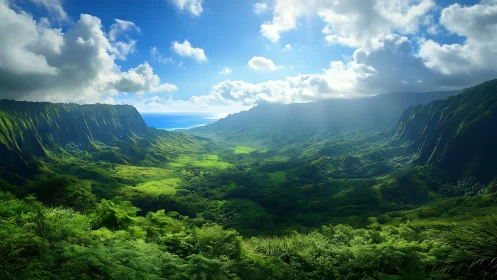 Coastal mountain valley with dense green vegetation under sun.
