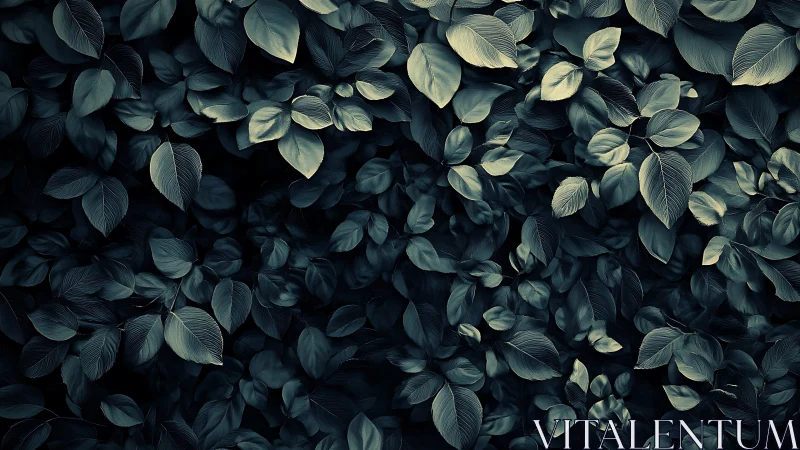 Low-key macro foliage texture with overlapping matte leaves