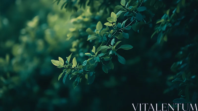 Close-up of green leafy branch in soft focus, moody nature style.
