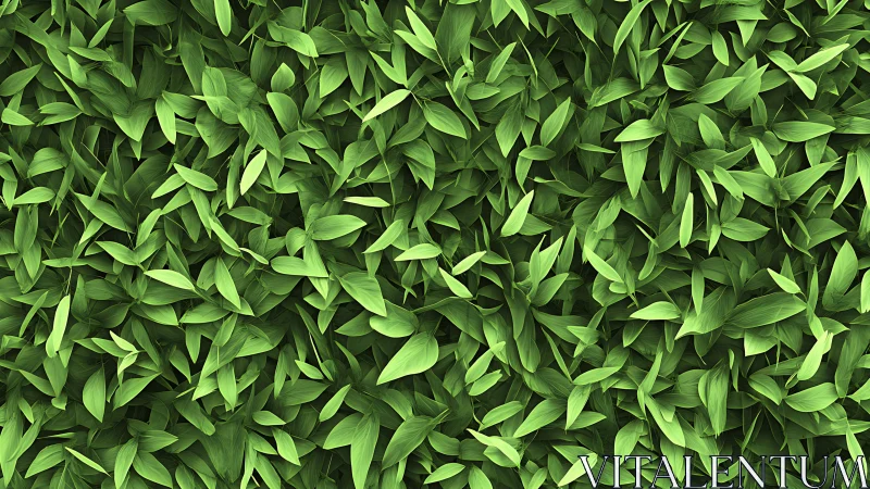 Lush green leaves create a soothing carpet of natural calm