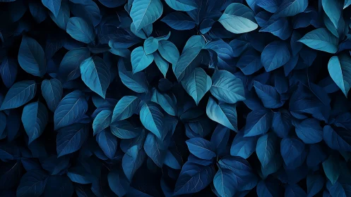 Monochromatic deep blue foliage texture with soft diffused lighting.