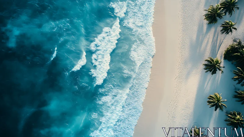 Aerial shoreline captures orthogonal surf bands and palm shadows