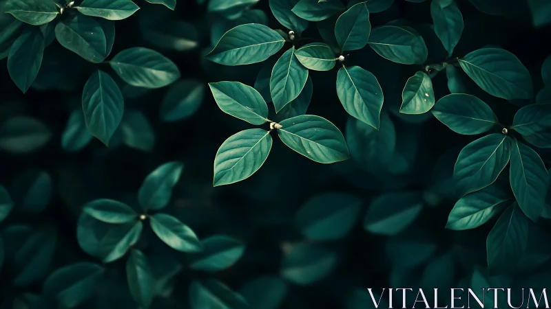 Midnight garden leaves whisper in cool emerald hush.