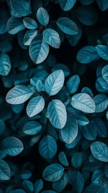 Blue-toned elliptical foliage pattern in close-up view.