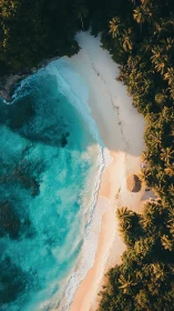 Aerial view of pristine tropical beach with turquoise waters